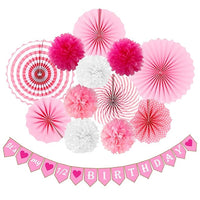 Celebrate your baby girl’s 6-month milestone with this cute 13pcs half birthday décor set.