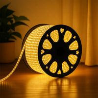 Warm Yellow Rope Light – 5m (120 LEDs/m)