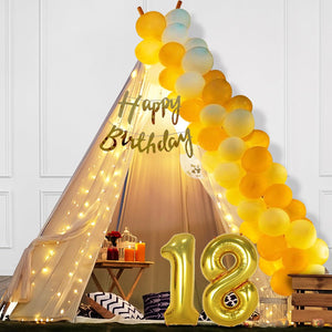 18th Birthday Decoration Kit – 27 Pcs | Canopy Tent Décor with Balloons, Curtains, Banner & Lights